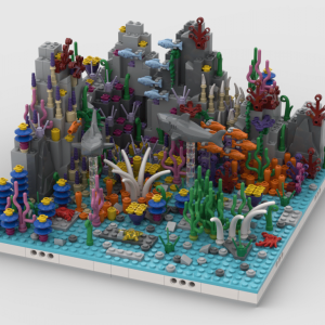 Coral Reef Instructions