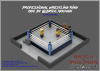 Professional Wrestling Ring – Blue Brand